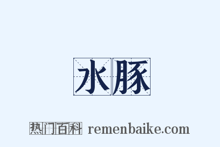 水豚是什么意思的图片